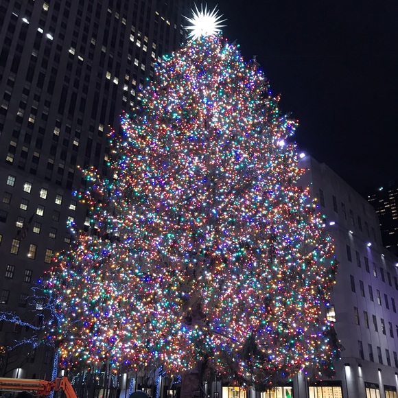 Meet your Posher, Crystal - Picture 1 of 1